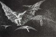 Francisco Goya Modo de volar Germany oil painting artist